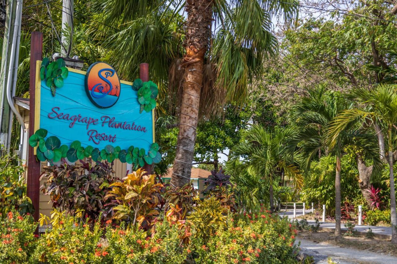 Seagrape Plantation Resort & Dive Center ウェスト・エンド エクステリア 写真