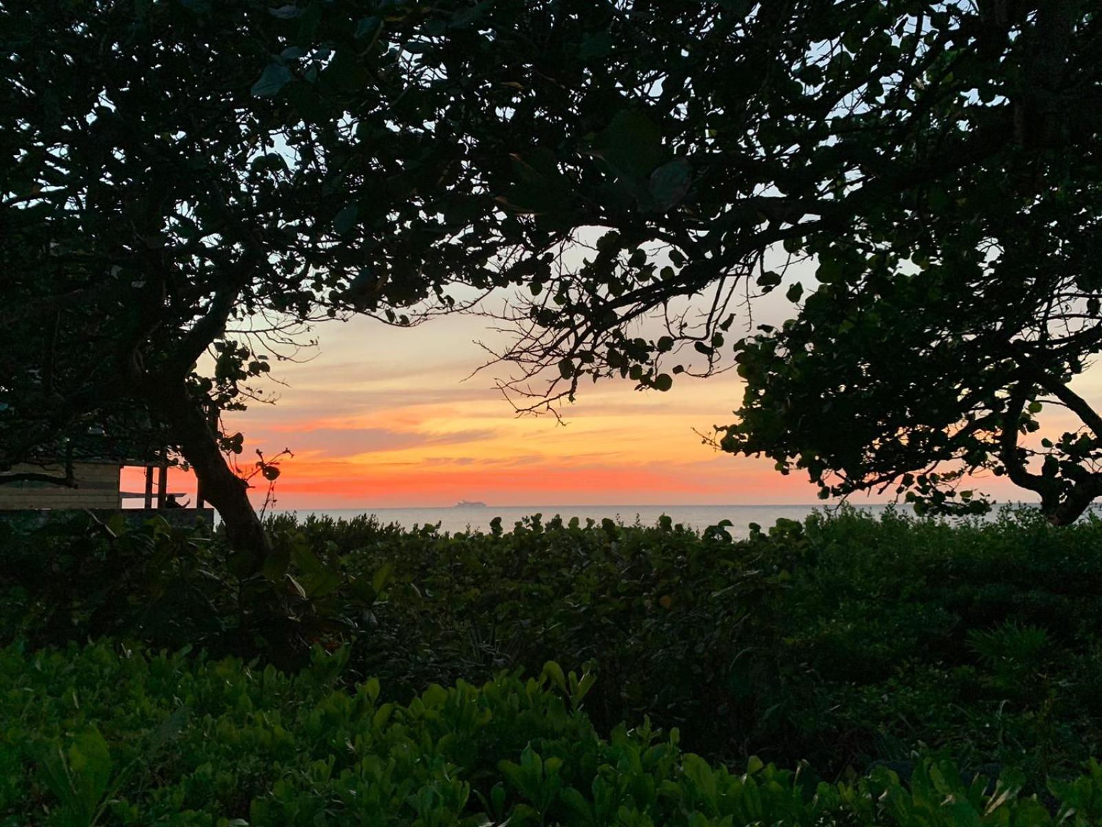 Seagrape Plantation Resort & Dive Center ウェスト・エンド エクステリア 写真
