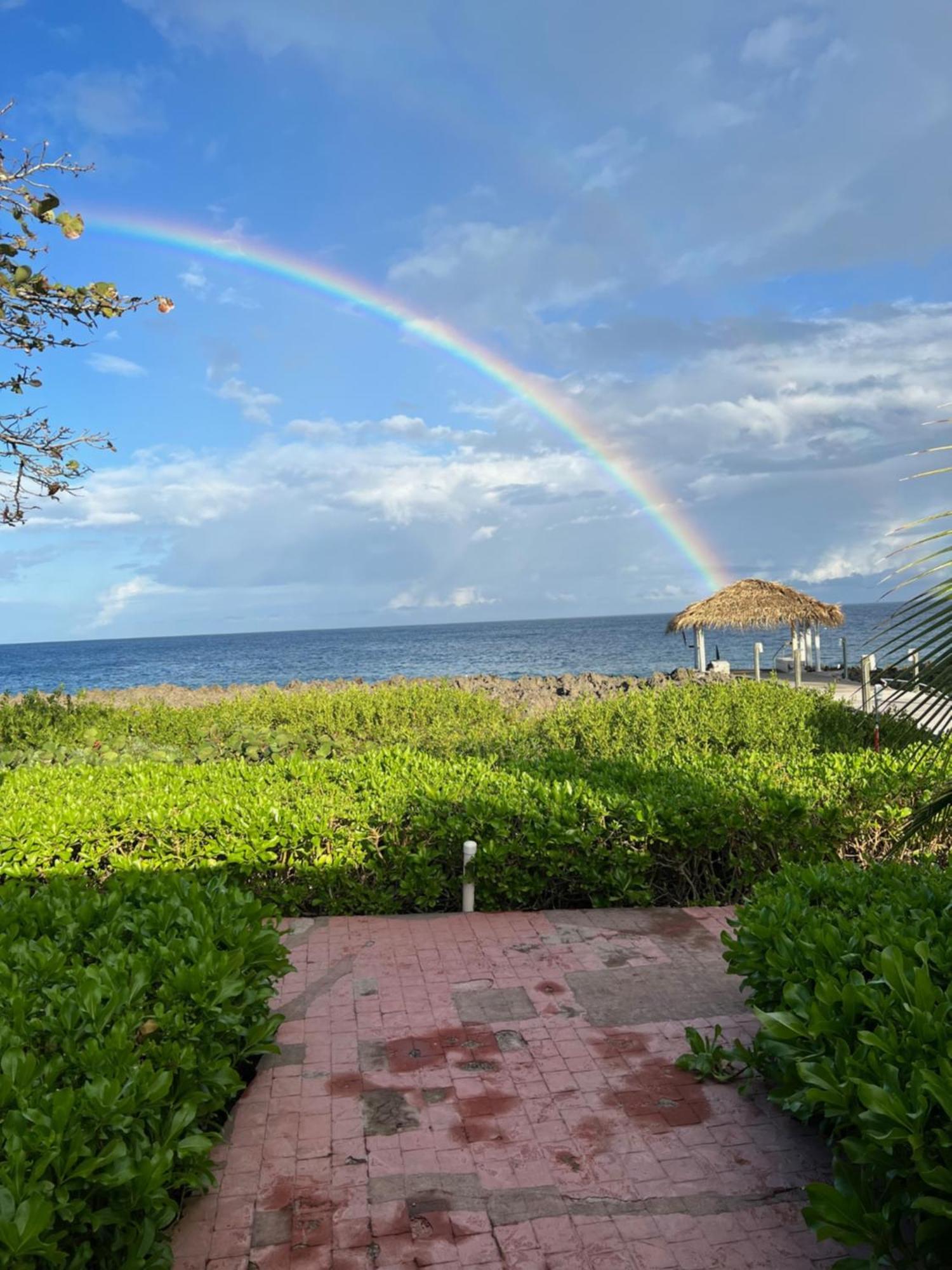 Seagrape Plantation Resort & Dive Center ウェスト・エンド エクステリア 写真