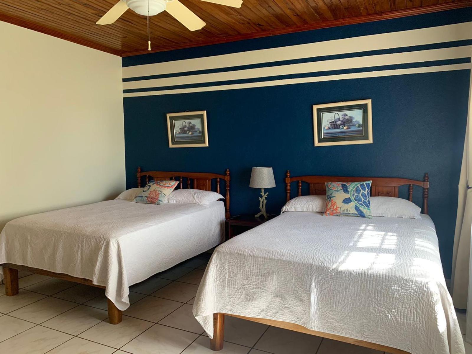 Seagrape Plantation Resort & Dive Center ウェスト・エンド 部屋 写真