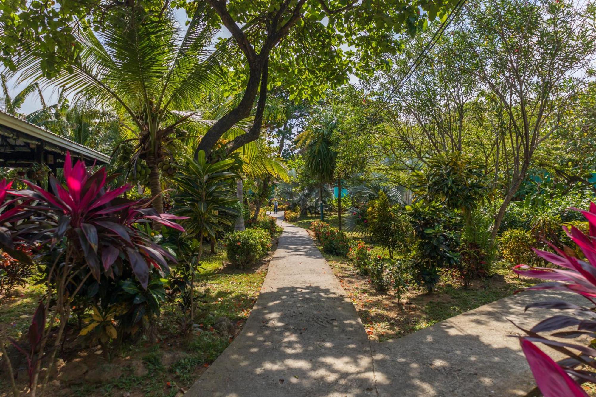 Seagrape Plantation Resort & Dive Center ウェスト・エンド エクステリア 写真