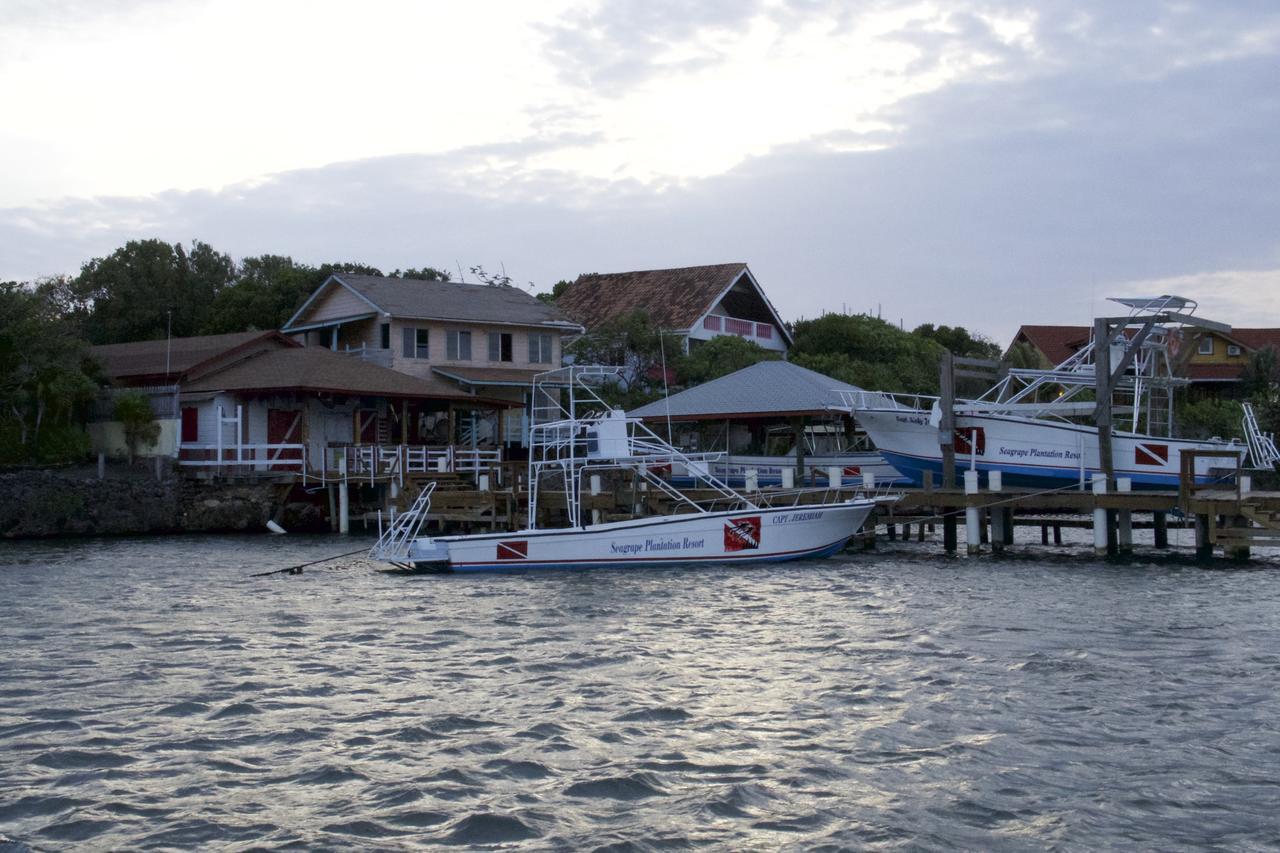Seagrape Plantation Resort & Dive Center ウェスト・エンド エクステリア 写真