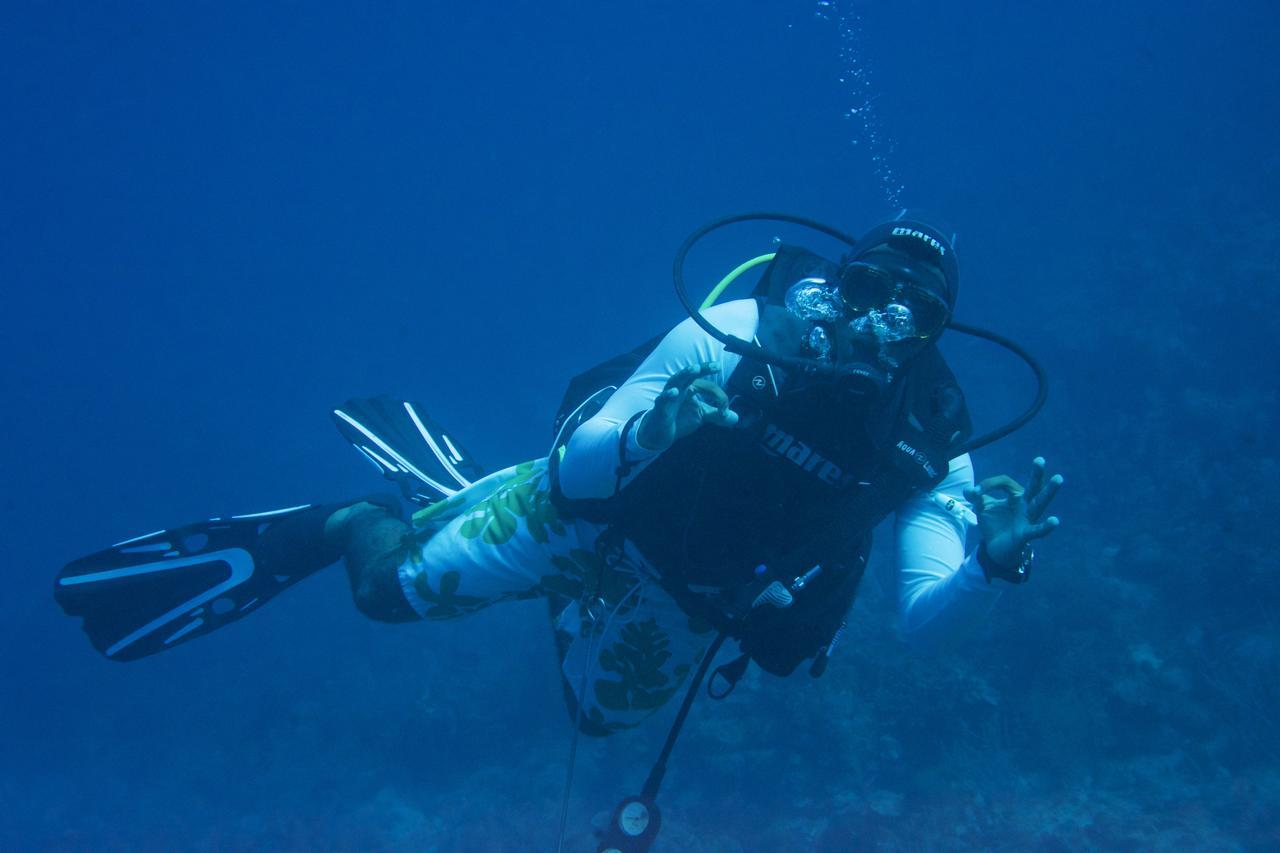Seagrape Plantation Resort & Dive Center ウェスト・エンド エクステリア 写真