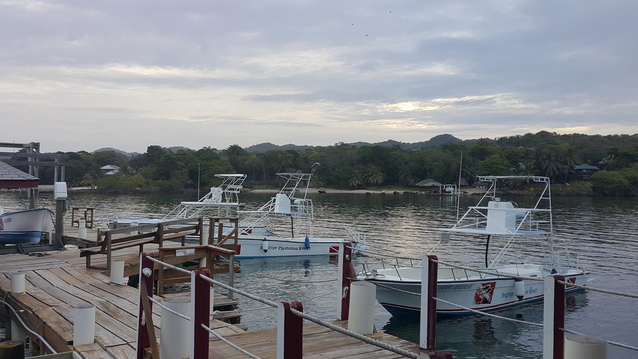 Seagrape Plantation Resort & Dive Center ウェスト・エンド エクステリア 写真