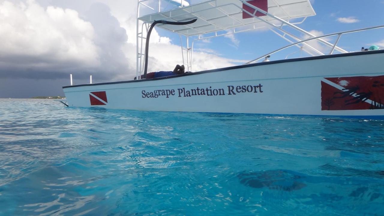 Seagrape Plantation Resort & Dive Center ウェスト・エンド エクステリア 写真